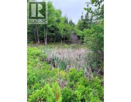 Meadow Cove Road, Musquash, NB E5J1Y5 Photo 8