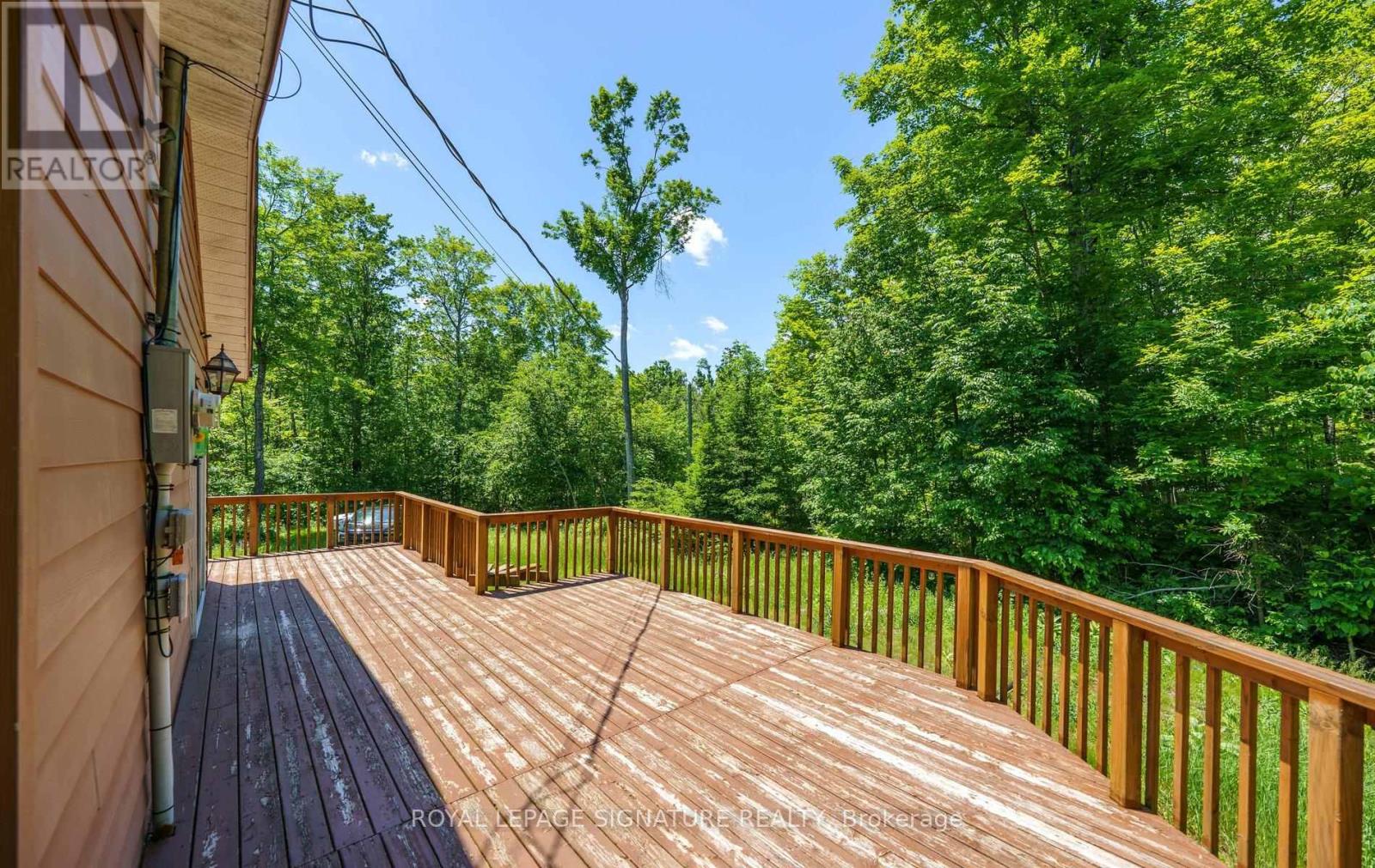 369 NICHOLS COVE ROAD - 34