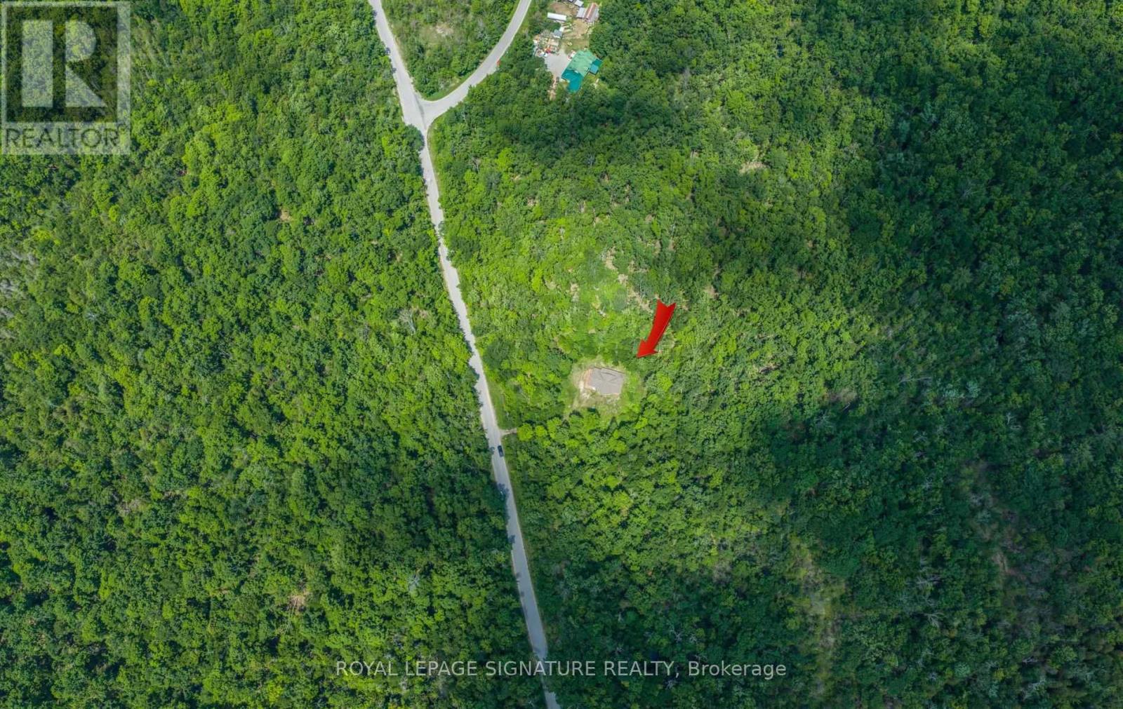 369 NICHOLS COVE ROAD - 49