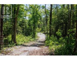 0 Pearce Road, Kawartha Lakes, ON K0M2B0 Photo 36