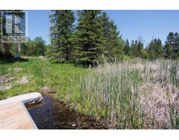 0 Pearce Road, Kawartha Lakes, ON K0M2B0 Photo 33