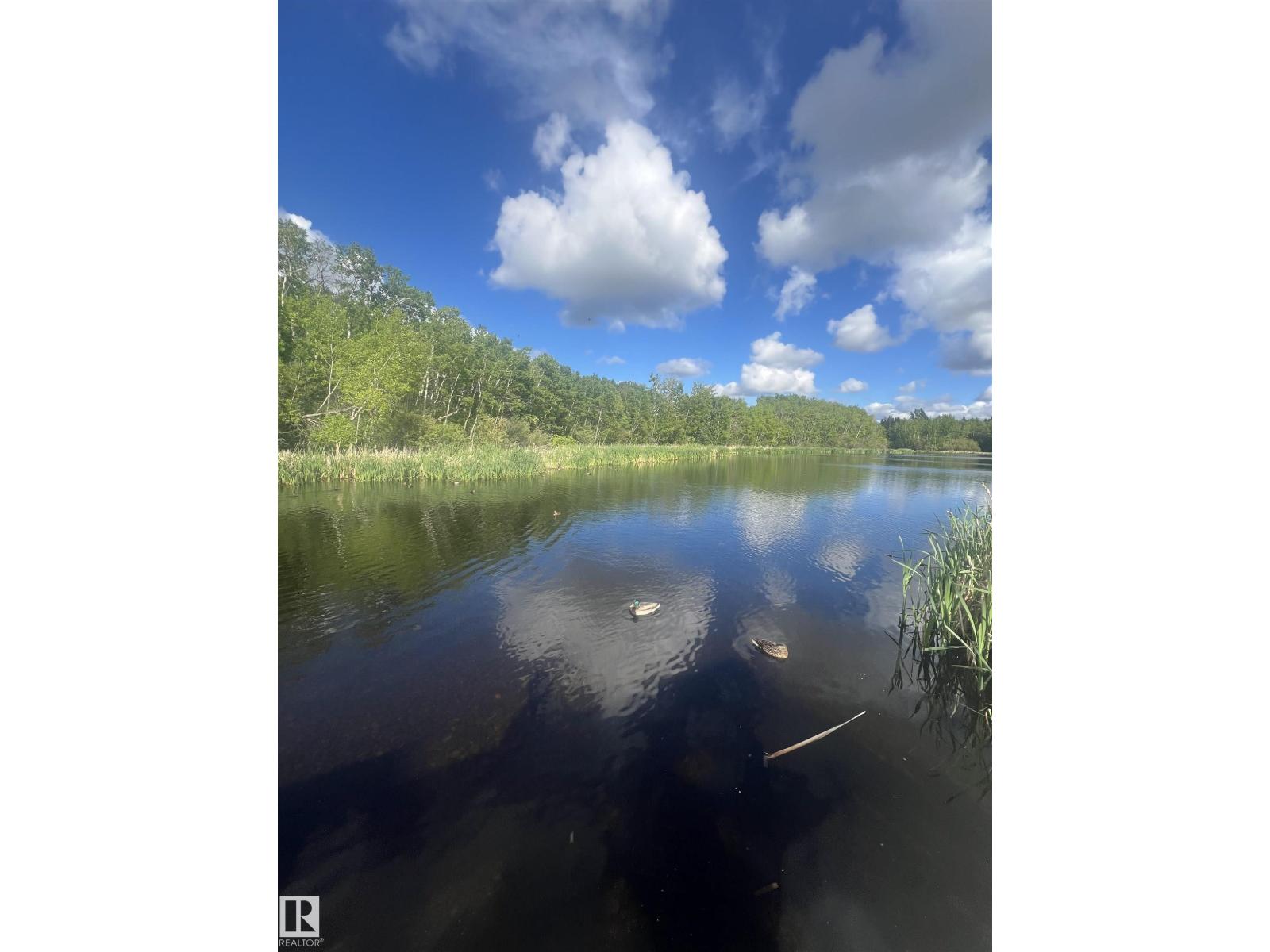 #7 85 GERVAIS RD - 60