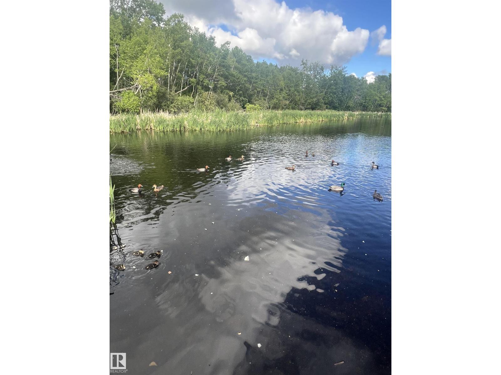 #7 85 GERVAIS RD - 62