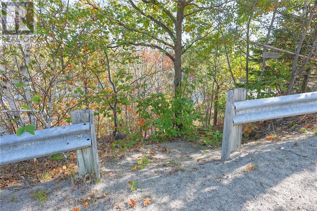 2095 Sunnyside Road - 3