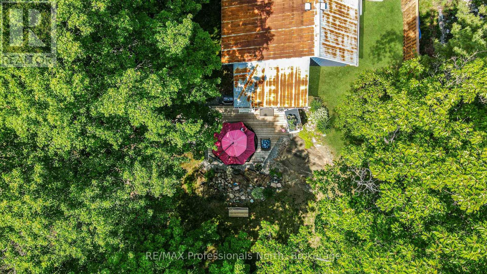 203 BURLEIGH STREET - 39