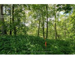 956 6th Avenue E, Owen Sound, ON N4K2V4 Photo 7