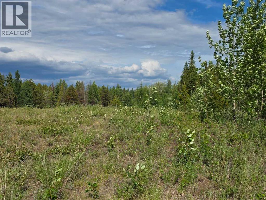 64009 704 Township
