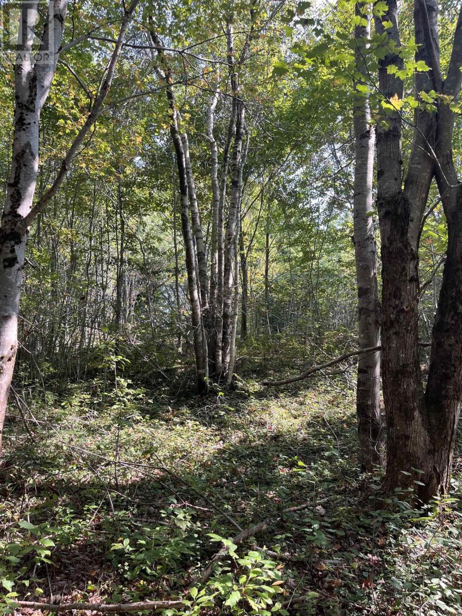 Property 17 of 22 of Lot 340 Highway