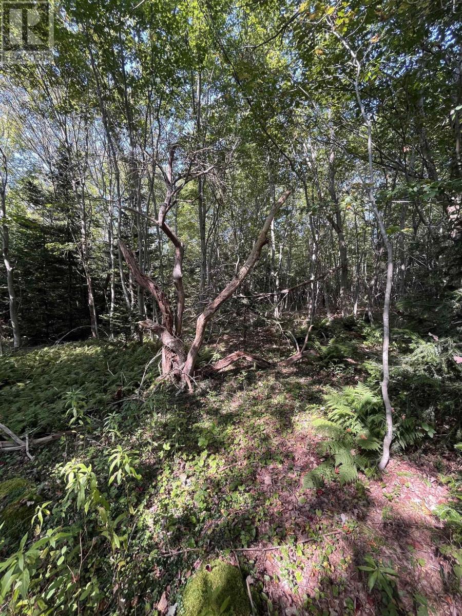 Property 15 of 22 of Lot 340 Highway