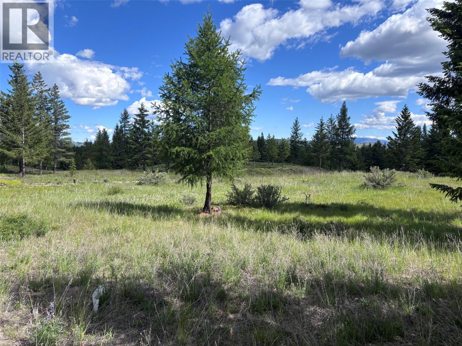 891 RAVEN HILL Road, Osoyoos