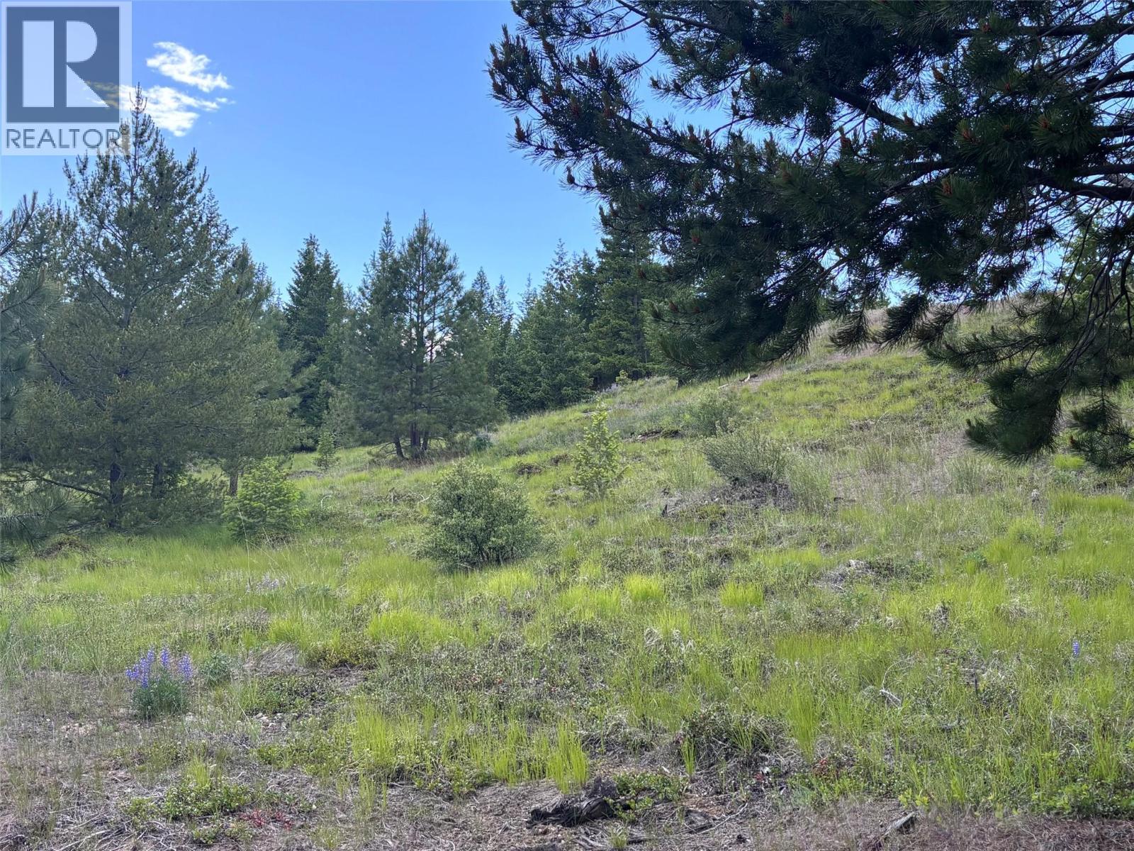 891 RAVEN HILL Road, Osoyoos