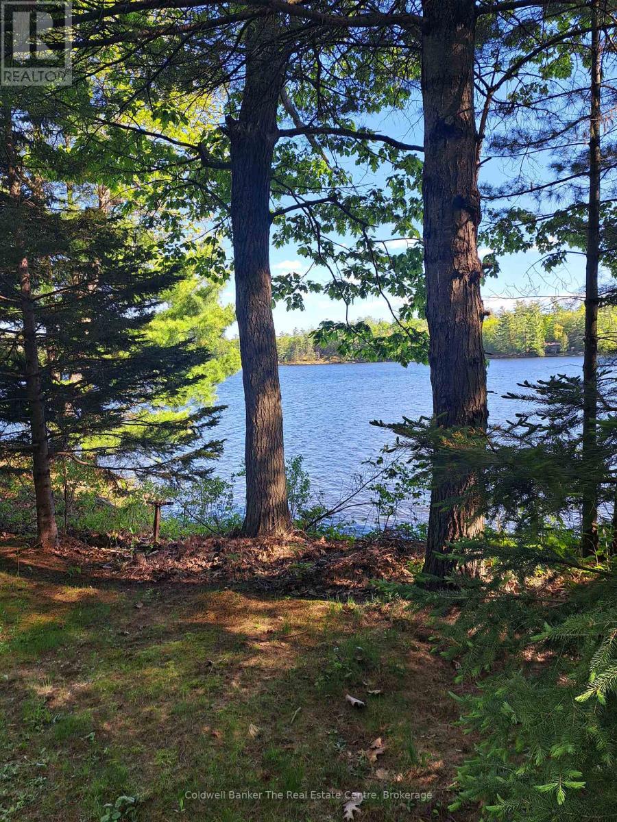 1319 WEST LIONS HEAD ROAD - 42