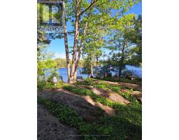 1319 West Lions Head Road, Gravenhurst), ON P0P1G0 Photo 46