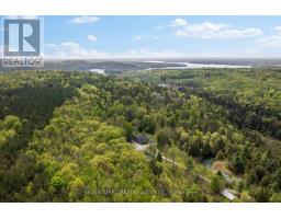 356 Dittburner Road, Whitewater Region, ON K0J1K0 Photo 45