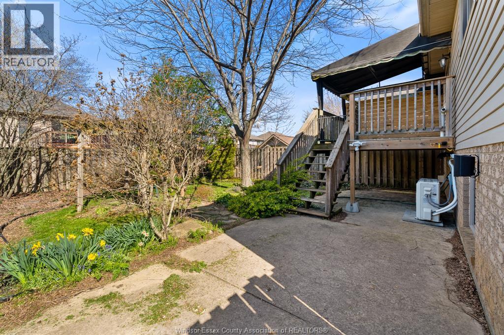 56 ANFRED STREET - 37