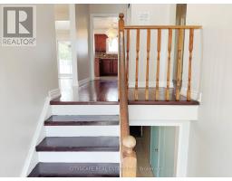 Laundry room - 3720 Brandon Gate Drive, Mississauga, ON L4T3M8 Photo 6