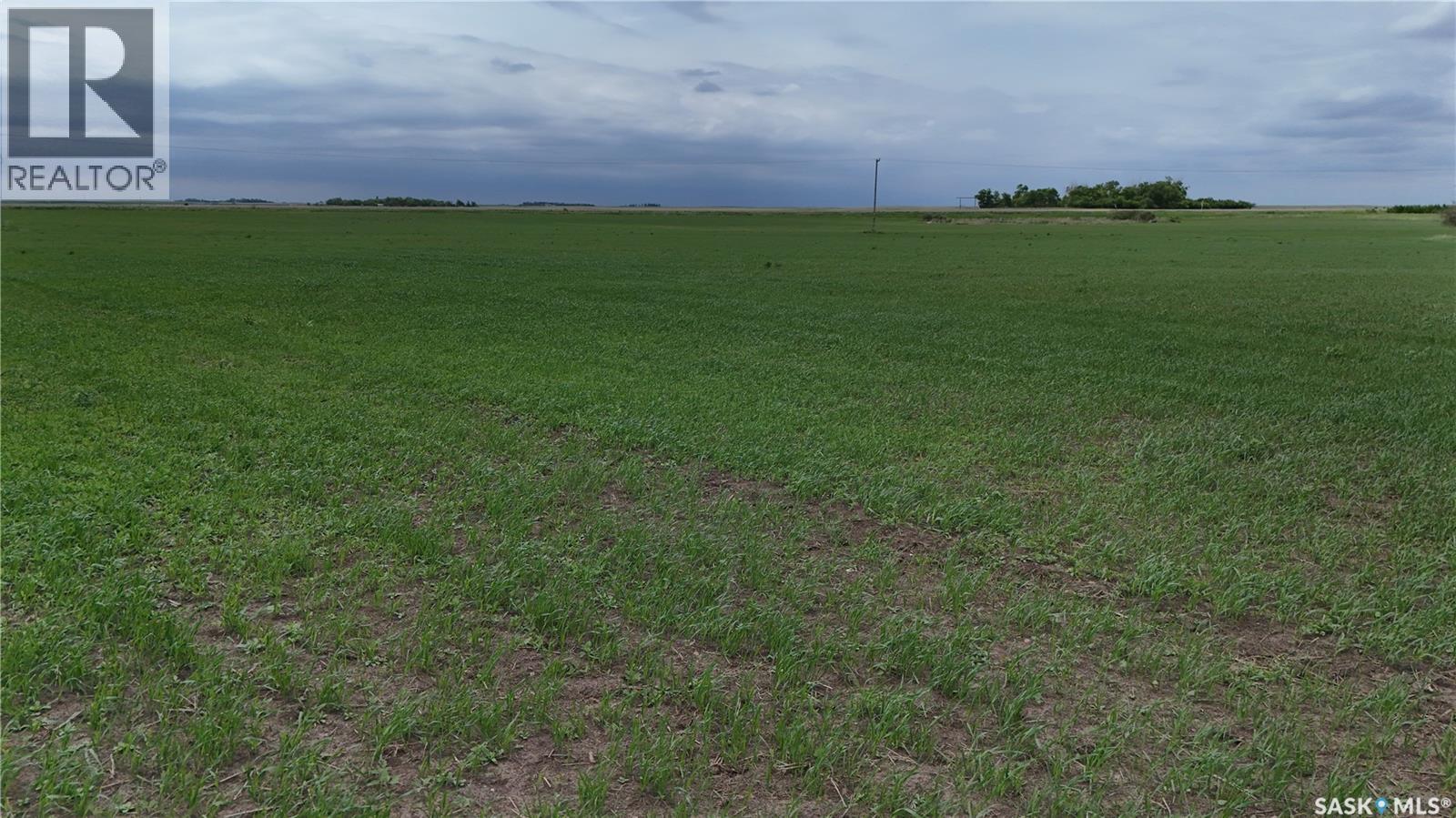 Tyvan Farm - photo 5