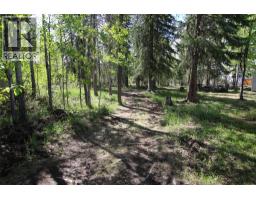 8 Myhon Place, Tumbler Ridge, BC V0C2W0 Photo 6