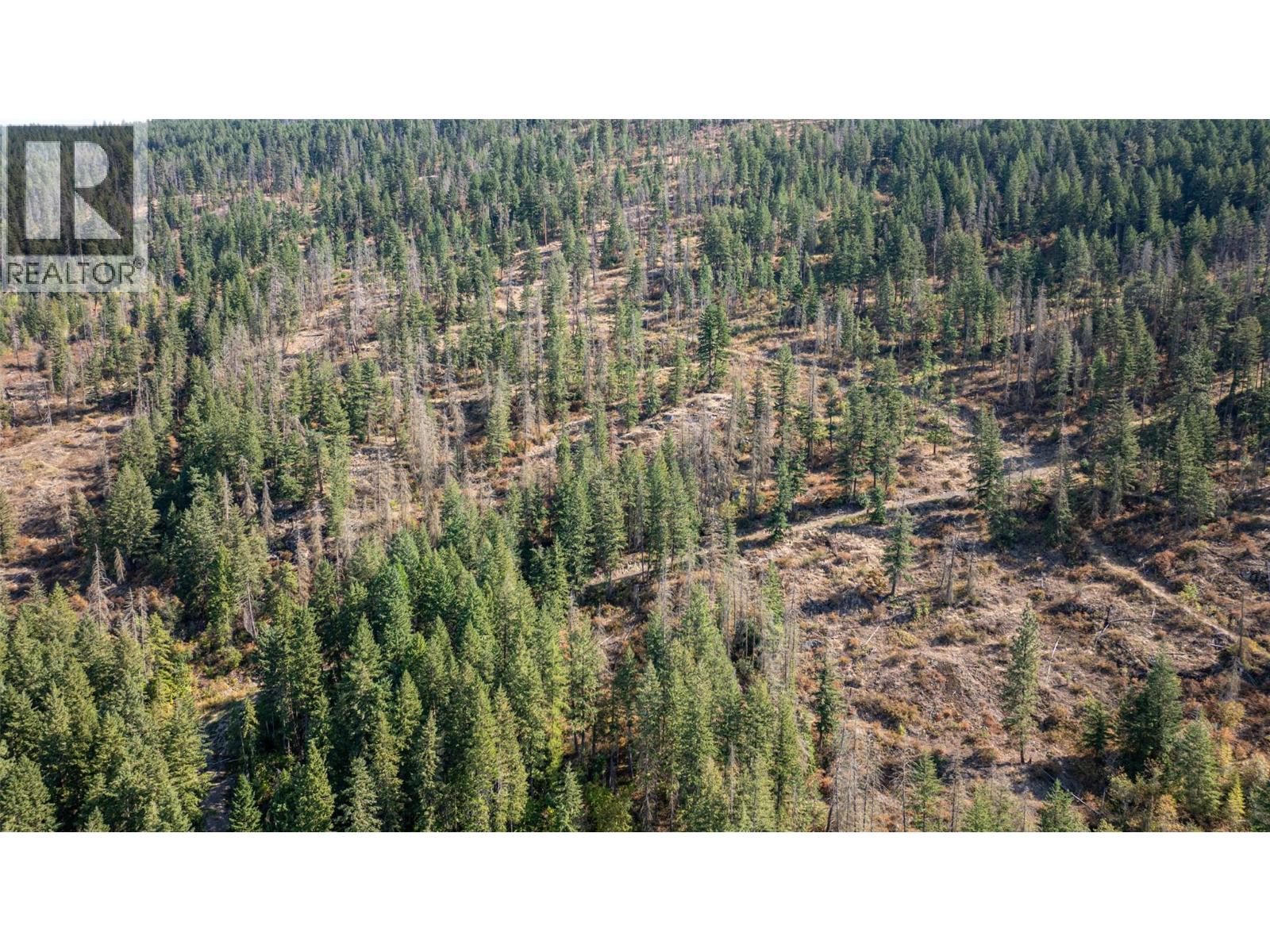 4596 Back Enderby Road - 14