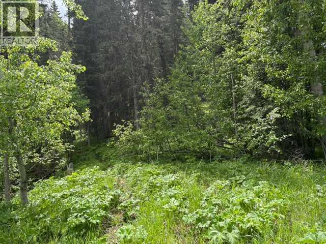 229 Mountain Lion Drive, Bragg Creek