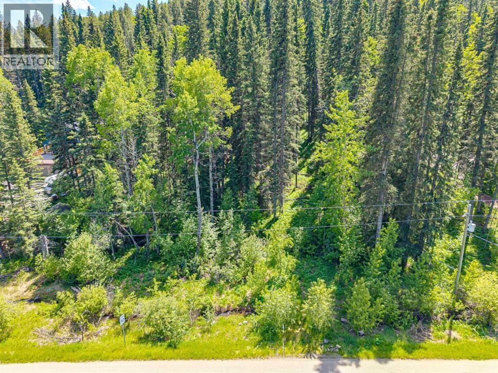 229 Mountain Lion Drive, Bragg Creek