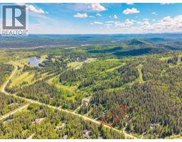 229 Mountain Lion Drive, Bragg Creek, AB T0L0K0 Photo 10