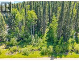 229 Mountain Lion Drive, Bragg Creek, AB T0L0K0 Photo 24