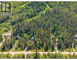 229 Mountain Lion Drive, Bragg Creek, AB T0L0K0 Photo 8