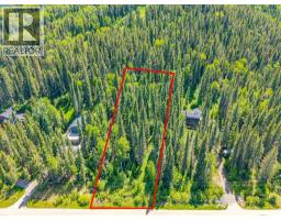 229 Mountain Lion Drive, Bragg Creek, AB T0L0K0 Photo 7