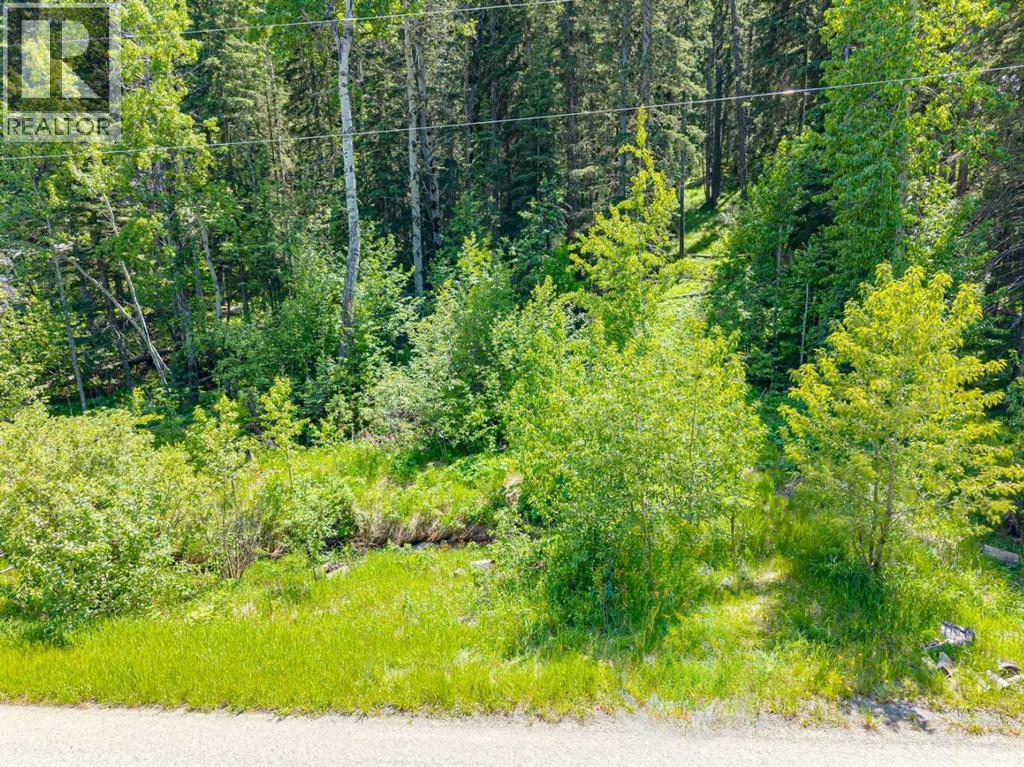 229 Mountain Lion Drive, Bragg Creek