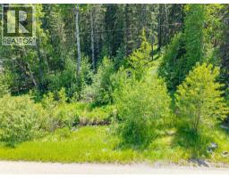 229 Mountain Lion Drive, Bragg Creek, AB T0L0K0 Photo 6