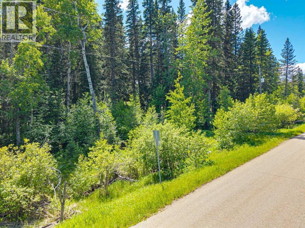 229 Mountain Lion Drive, Bragg Creek