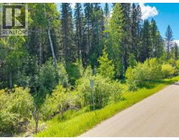 229 Mountain Lion Drive, Bragg Creek, AB T0L0K0 Photo 26
