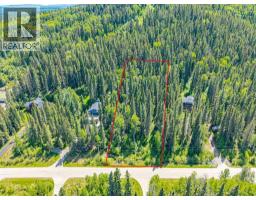 229 Mountain Lion Drive, Bragg Creek, AB T0L0K0 Photo 22