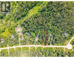 229 Mountain Lion Drive, Bragg Creek, AB T0L0K0 Photo 14