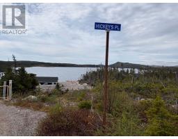 0 Trout Pond Road, Clarenville, NL A5A1A0 Photo 14