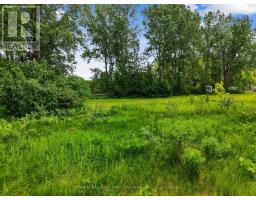 1 Earl Street, Cramahe, ON K0K1S0 Photo 7