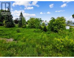 1 Earl Street, Cramahe, ON K0K1S0 Photo 8