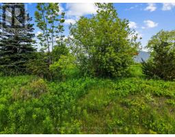1 Earl Street, Cramahe, ON K0K1S0 Photo 9