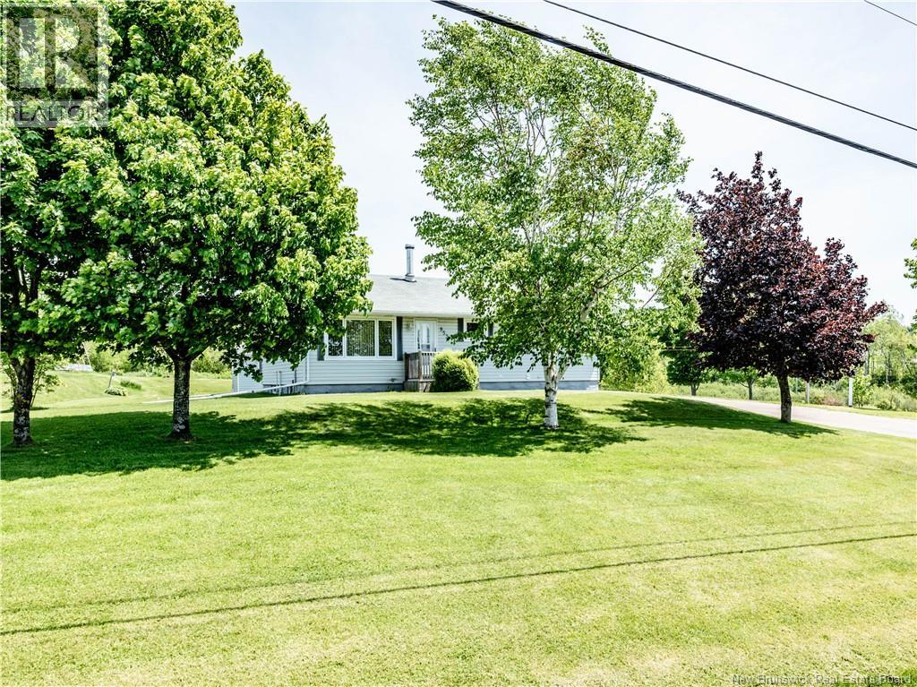 953 Principale - Image 3