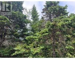 16 Ridge Road thumbnail 10