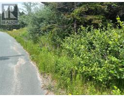 16 Ridge Road thumbnail 31