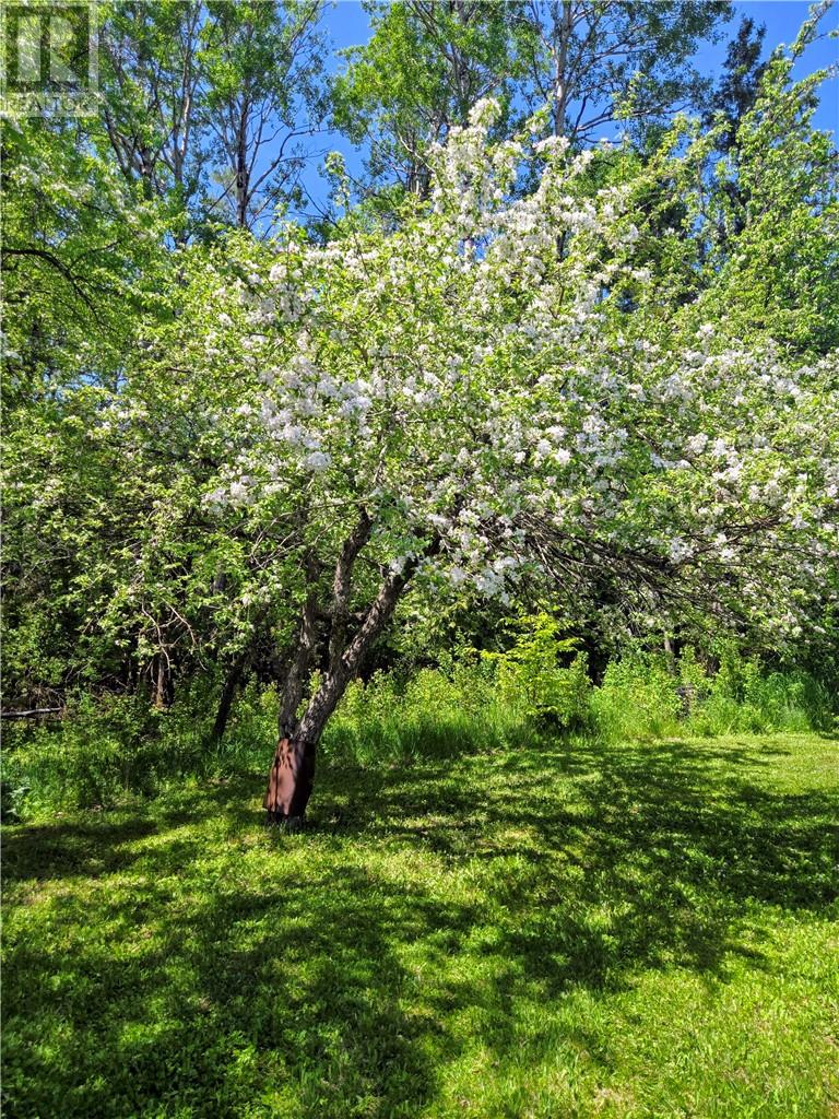 622 Campbell Rd - 13