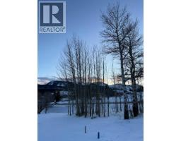 8602 24 Avenue, Coleman, AB T0K0M0 Photo 6