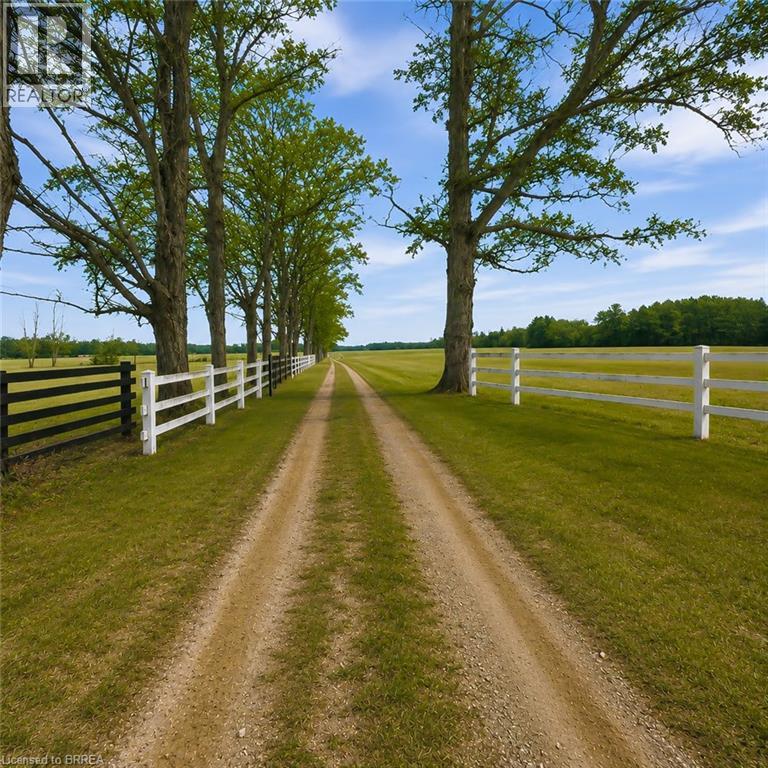 Gravel drive bordered by mature trees and white post-and-rail fencing