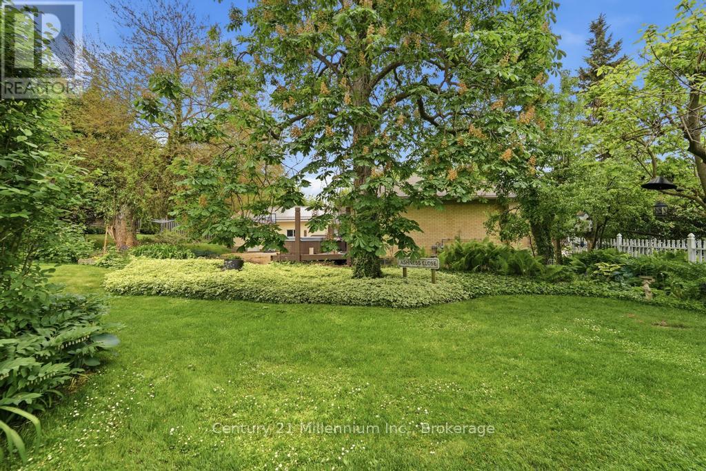 1145 QUEEN STREET - 31