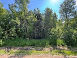 6 Irving Drive, Victoria Beach, MB R0E2C0 Photo 8