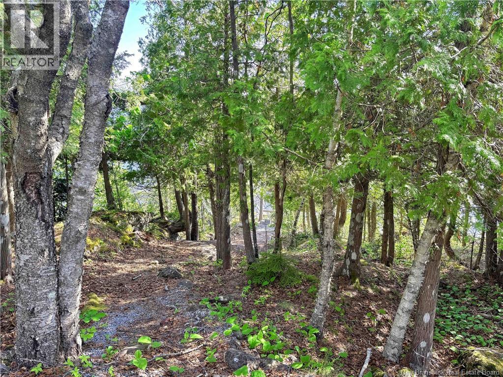 71 Anchorage Avenue - 44