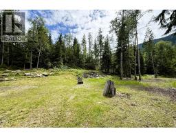 324 Salmon Creek Road Lot# 3, Beaton, BC V0E2S0 Photo 20