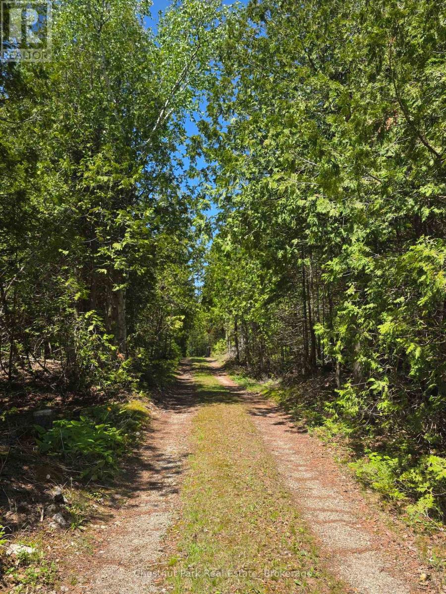79 PINE TREE HARBOUR ROAD - 9